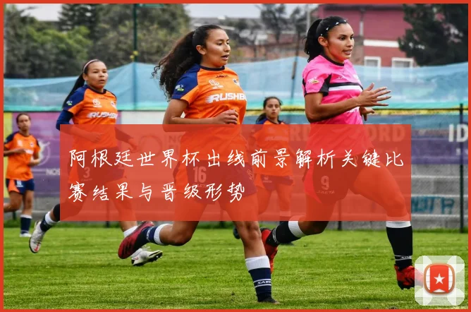 阿根廷世界杯出线前景解析关键比赛结果与晋级形势