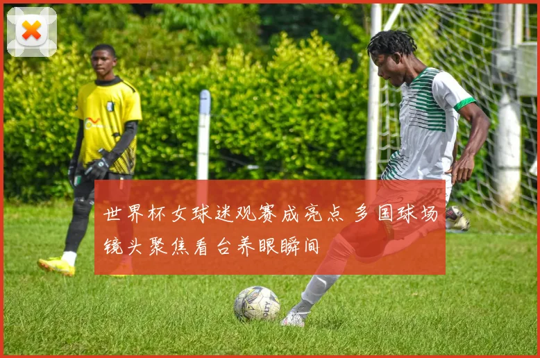 世界杯女球迷观赛成亮点 多国球场镜头聚焦看台养眼瞬间