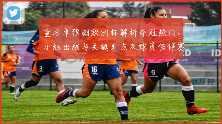 董方卓预测欧洲杯解析夺冠热门、小组出线与关键看点及球员伤停赛程影响