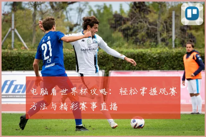 电脑看世界杯攻略：轻松掌握观赛方法与精彩赛事直播